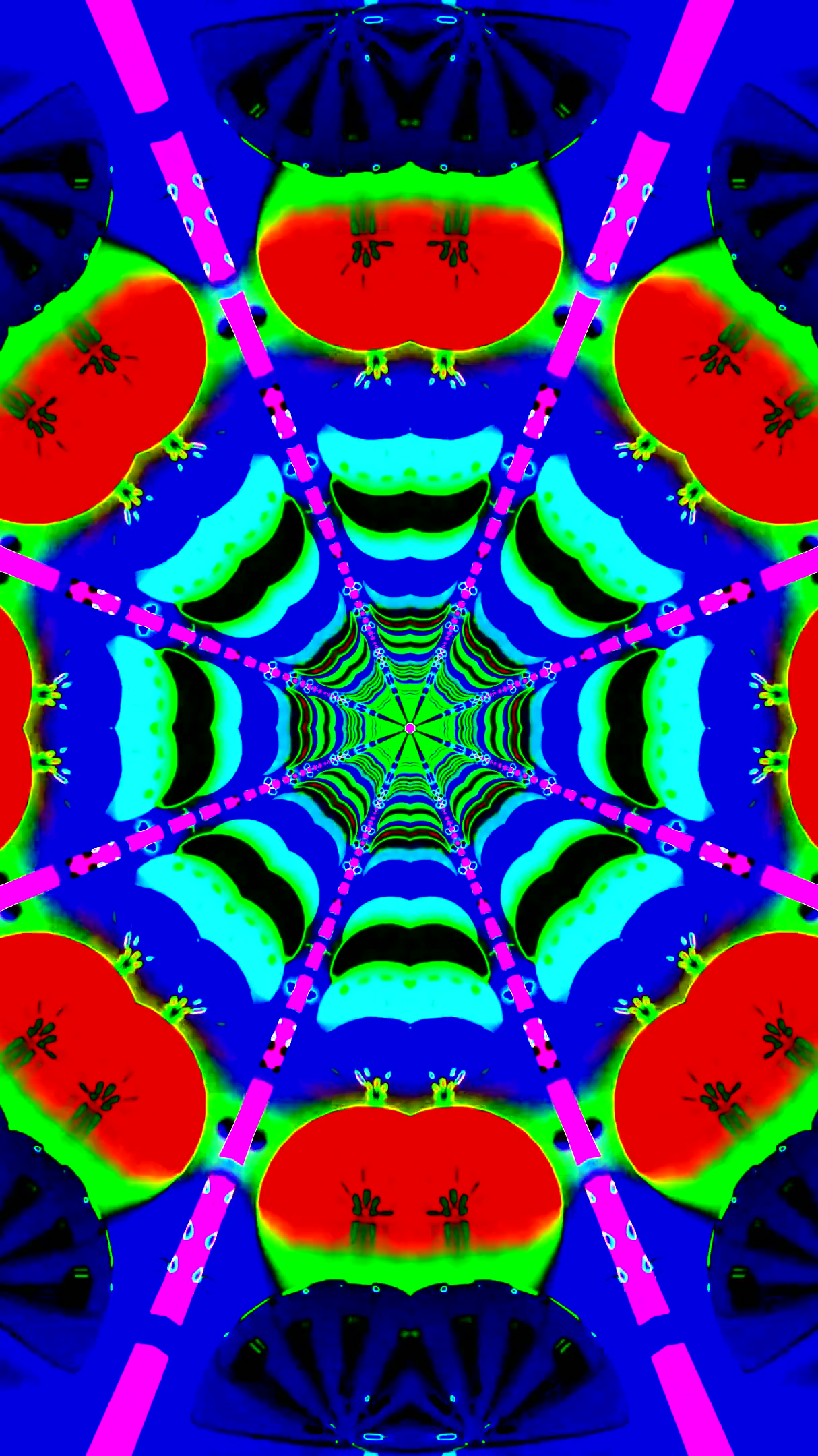 Tunnel video loop showcasing vibrant colors and patterns in a sea