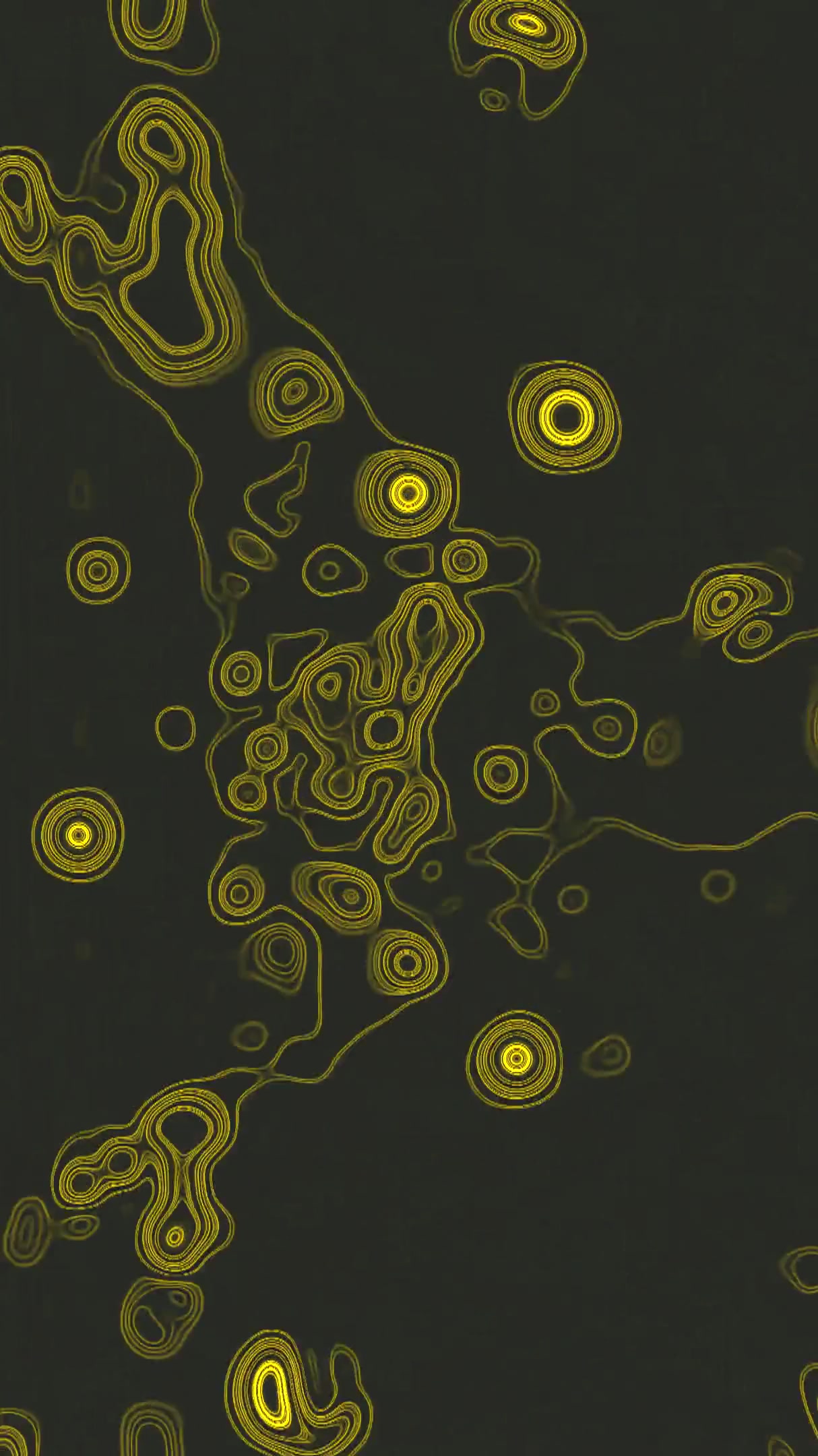 Dynamic yellow tunnel visual loop creates a mesmerizing screensav