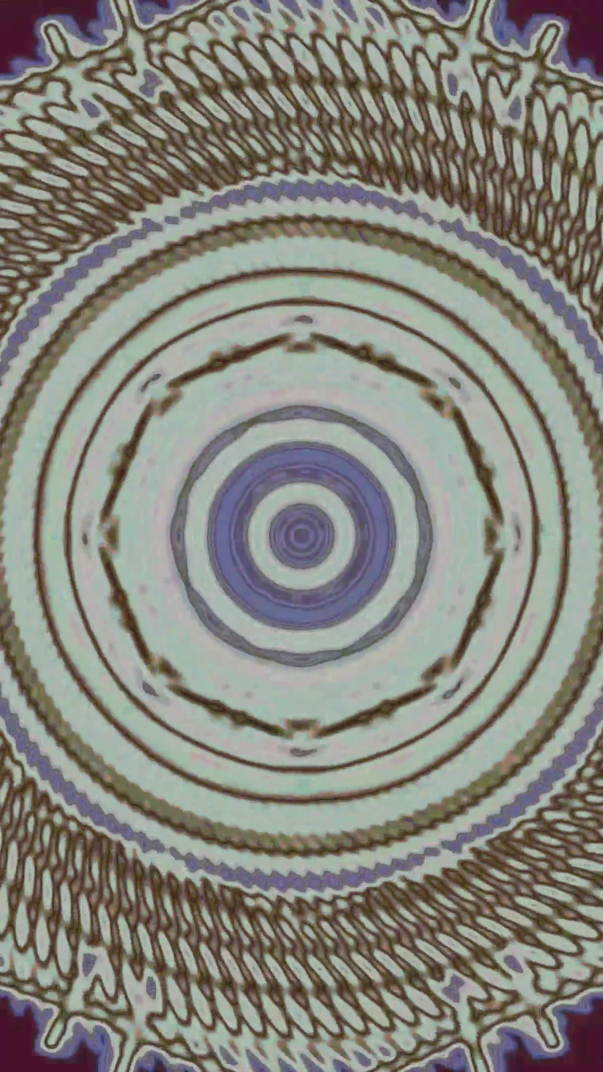 Seamless tunnel video loop creates a mesmerizing visual experienc