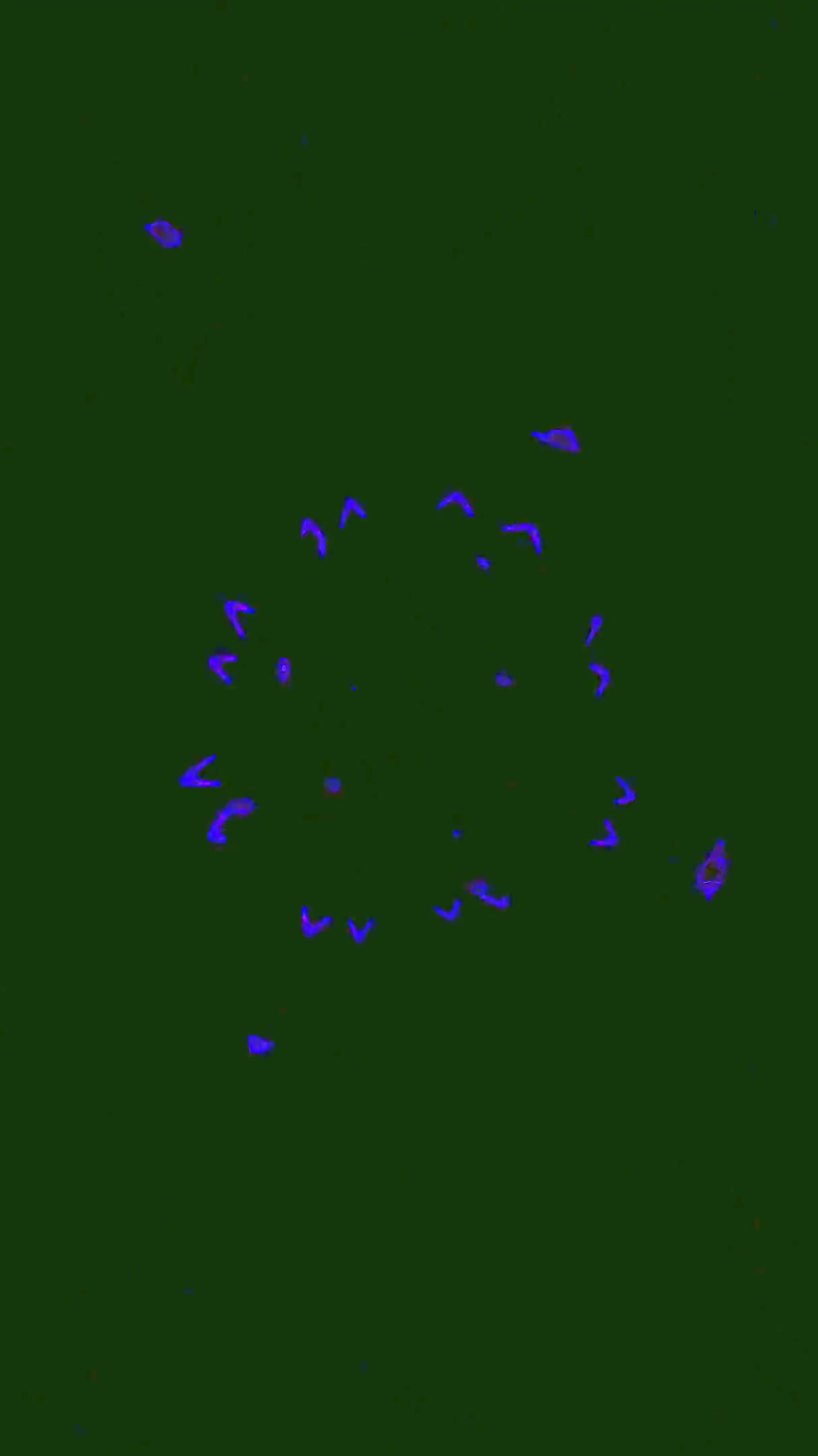 Seamless tunnel video loop with vibrant colors for screensaver enjoyment