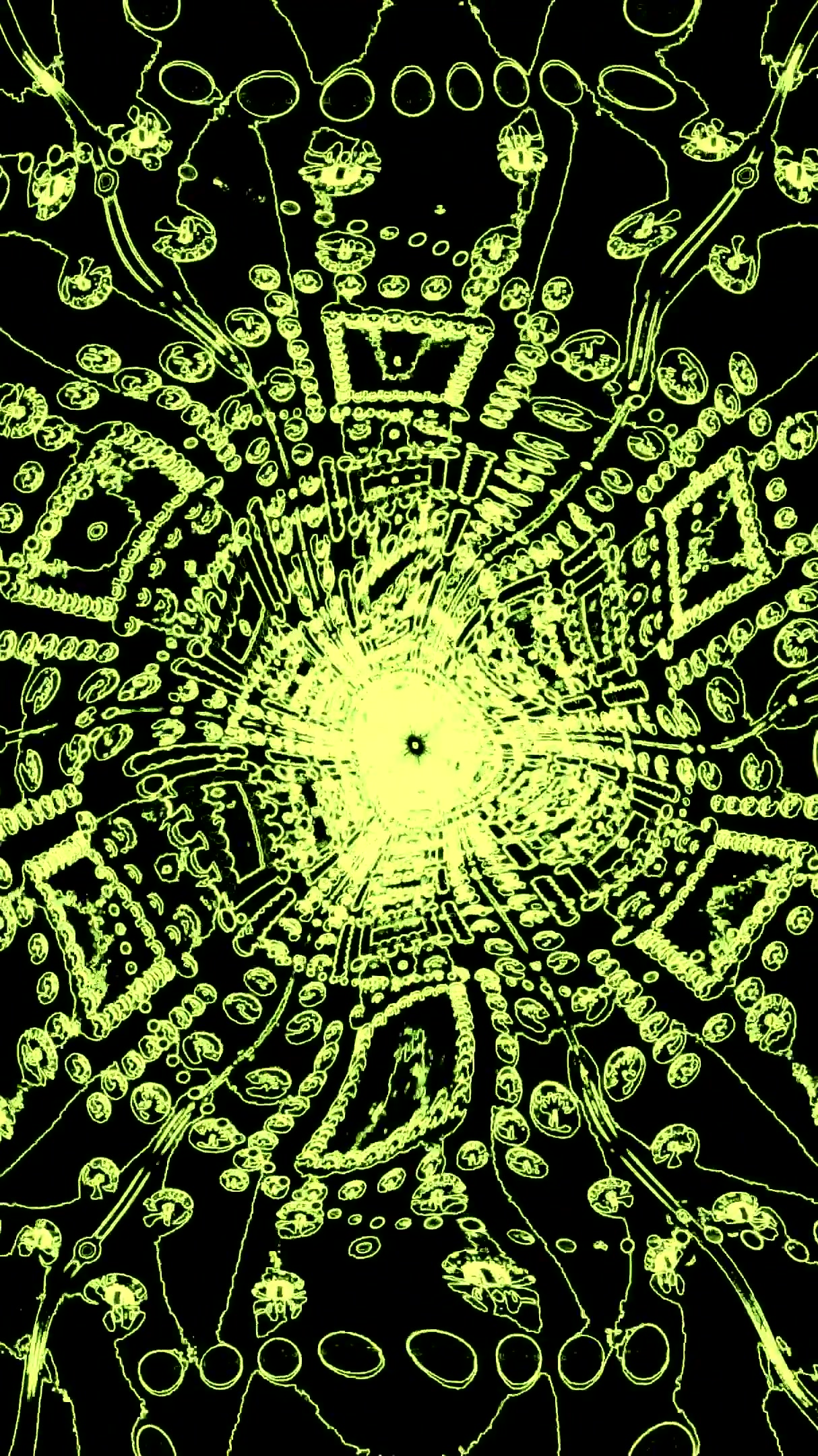 Tunnel video vj loop screensaver creates a seamless visual experience in vibrant green tones